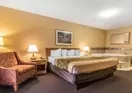 Econo Lodge Inn & Suites Foley