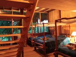 Hatuchay Hotels Pacaya Samiria Amazon Lodge