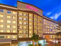 Sheraton Tampa Riverwalk