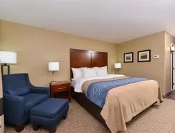 Comfort Inn & Suites Mandan