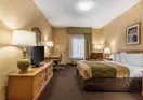 Econo Lodge Inn & Suites Foley