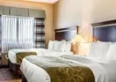 Comfort Suites Bloomsburg