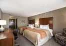 Comfort Inn & Suites Downtown