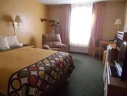 Super 8 Motel - Alexandria