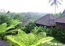 Bali Mountain Retreat