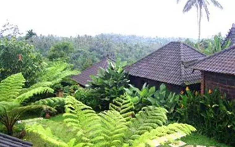 Bali Mountain Retreat