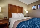 Comfort Inn & Suites Jackson