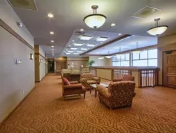 Comfort Inn Okemos