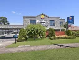 Comfort Inn on Raglan