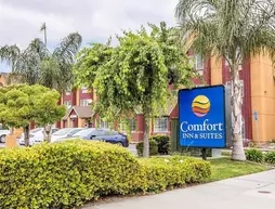 Comfort Inn & Suites Salinas