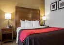 Comfort Inn Albany/Glenmont