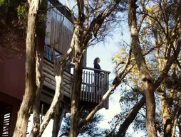 Hapuku Lodge and Tree Houses