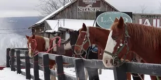 Pinegrove Family Dude Ranch