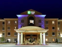 Holiday Inn Express Hotel & Suites Texarkana East