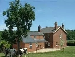 Mill Farm