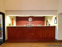 Comfort Inn Pine Bluff