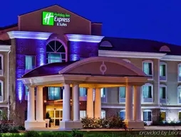 Holiday Inn Express Hotel & Suites-Magee