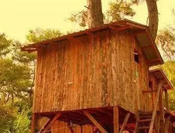 Saban Tree Houses