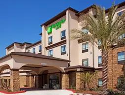 Holiday Inn Hotel & Suites Lake Charles South