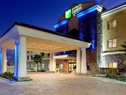 Holiday Inn Express Hotel and Suites - Odessa