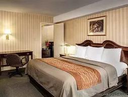 Comfort Inn Tysons Corner