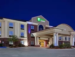 Holiday Inn Express Hotel & Suites Vidor South