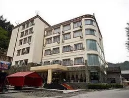 Ane Courtyard Hotel-Du Jiang Yan Branch