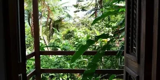 El Hotelito at The Rainforest Experience Farm