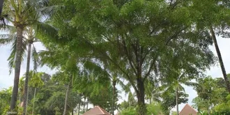 Banyan Tree SPA Sanctuary