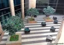 Courtyard by Marriott, Gurgaon