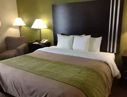 Comfort Inn Indianapolis East