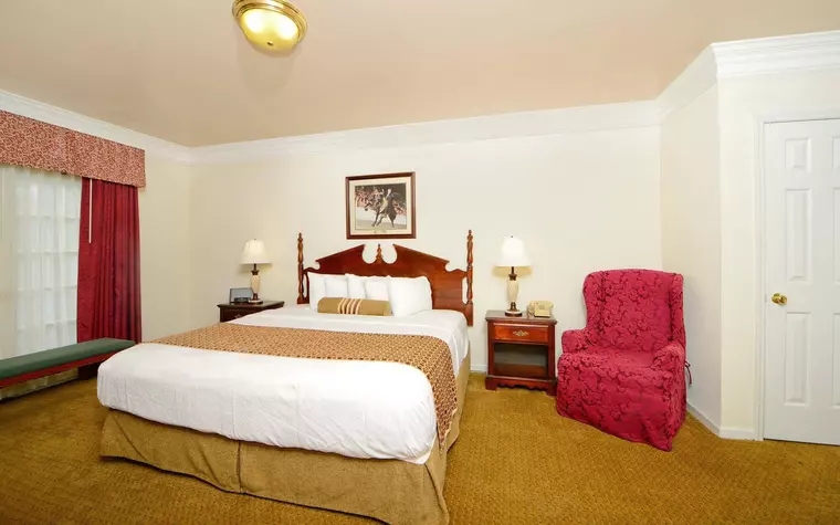 BEST WESTERN Spring Hill Inn & Suites