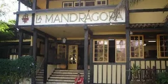 La Mandrágora