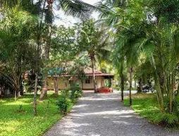 Palm Grove Service Villa