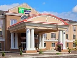Holiday Inn Express Hotel & Suites Binghamton University-Vestal