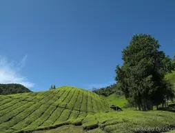 Cameron Highlands Resort