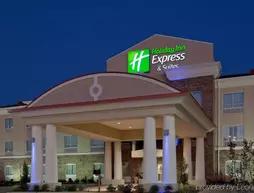 Holiday Inn Express Hotel Winona North