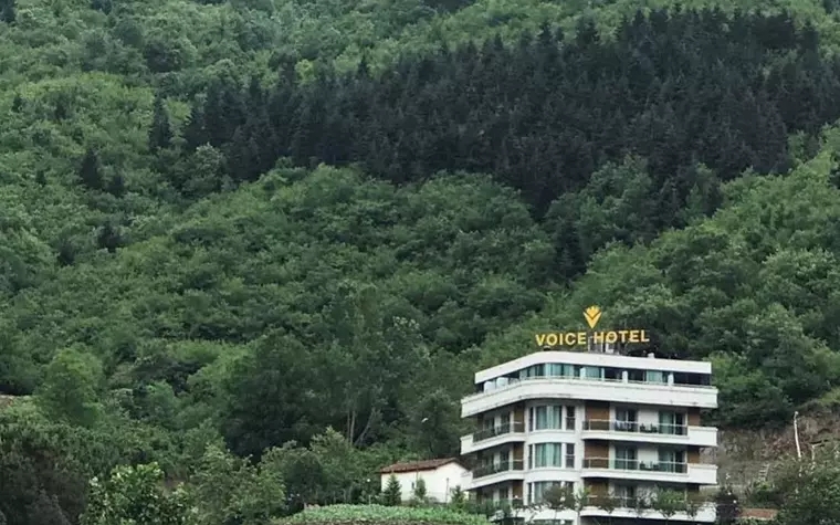 Voice Hotel