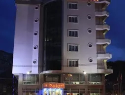 Paluri Hotel