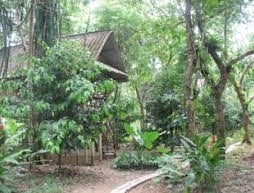 Khao Sok Valley Lodge