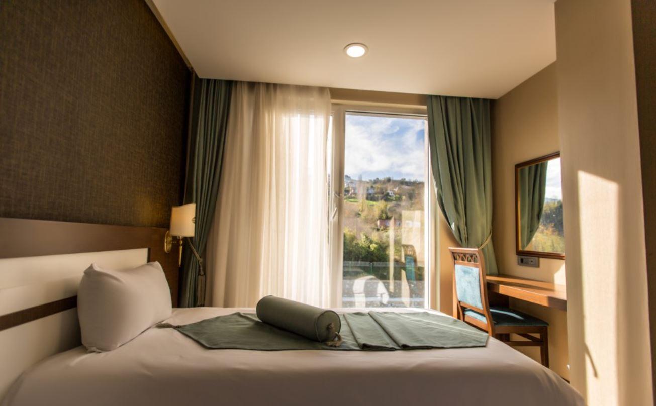 Delux Double Room Mountain view	